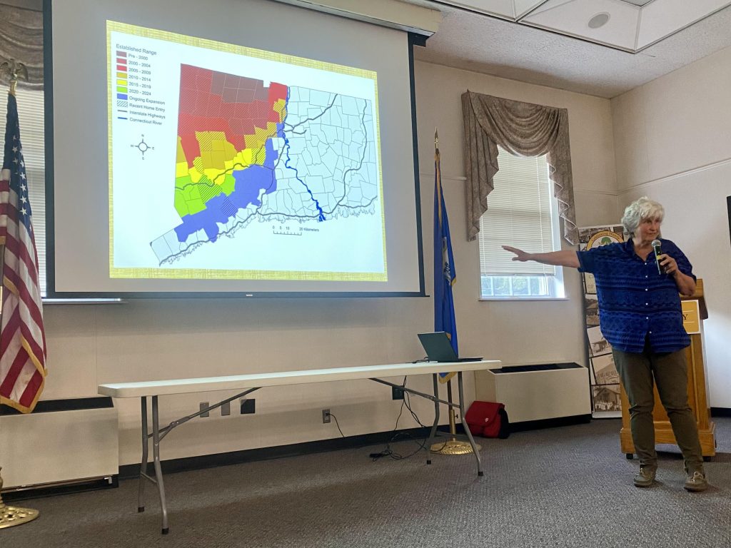 Bear With Us: Wildlife Expert Urges Coexistence in&nbsp;Southbury