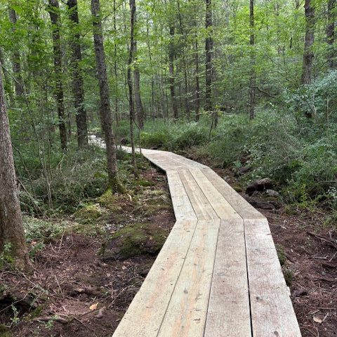 Southbury Land Trust to Open Spring Hill Farm Preserve to Public